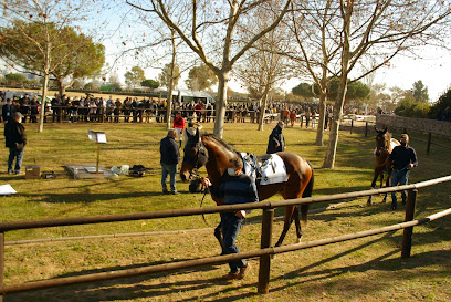 Circuito Hípico Torre d'en Dolça