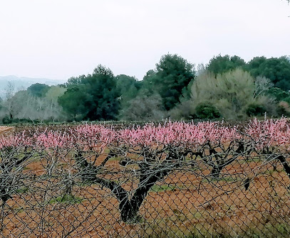 Area de descanso de Martorell