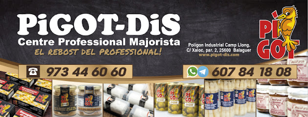 PIGOT-DIS Centre Professional Majorista