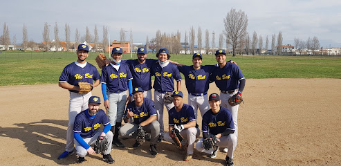 Camp de béisbol de Vic
