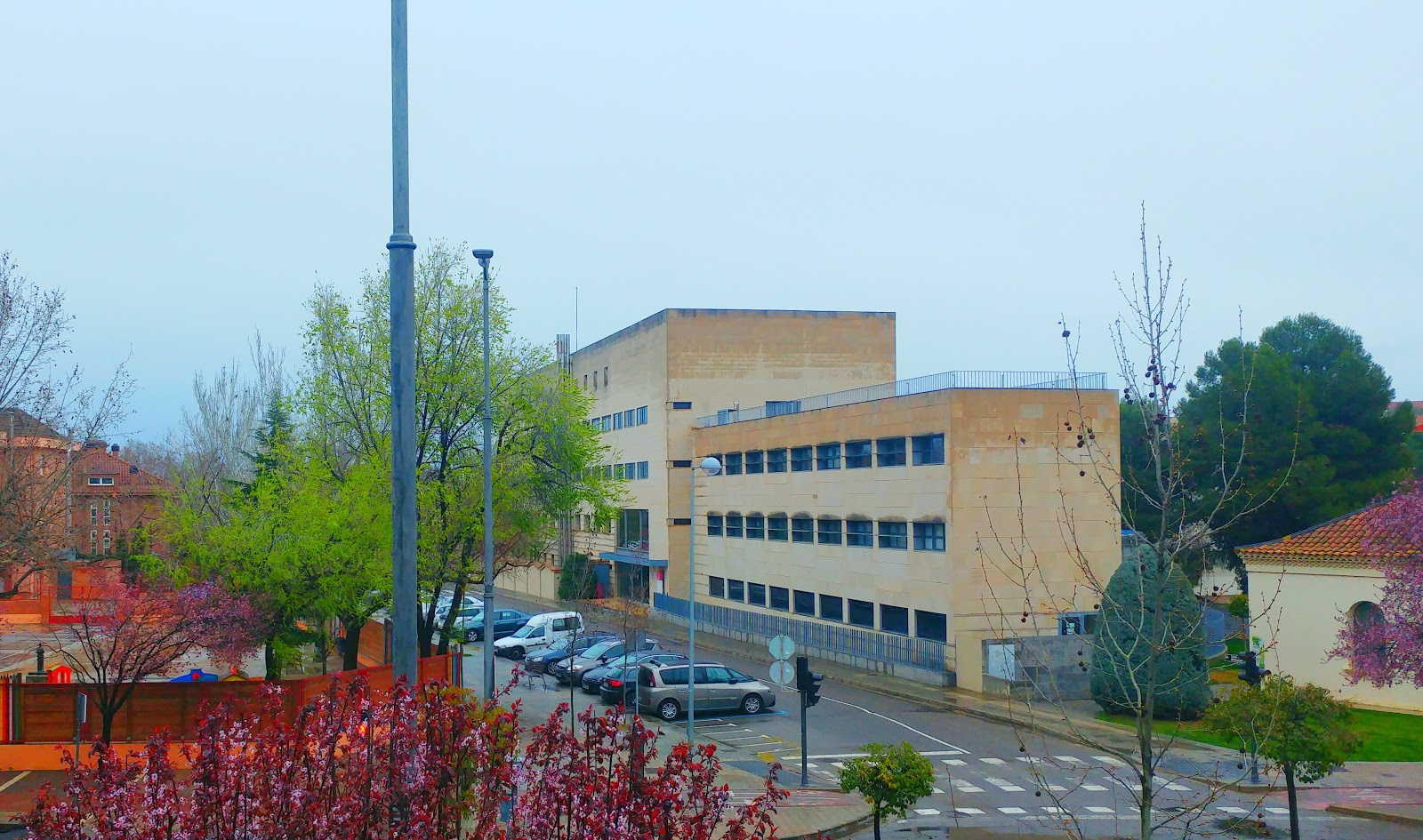 UDL Medicina