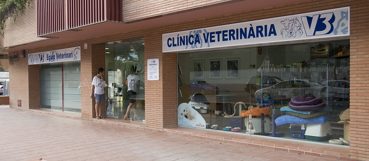 SVT Proveedor de servicios Internet, S.L.