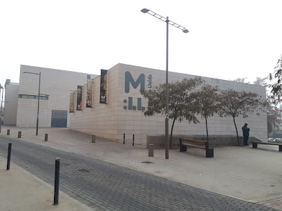 Museo de Lérida