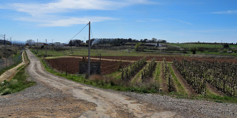 Pont de l'AVE al camí de la Mariola