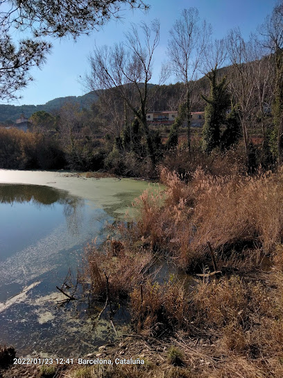 Observatori d'aus del pantà del Foix