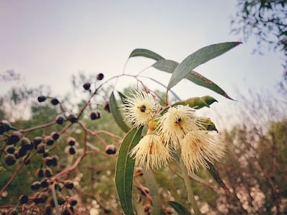 AROMASEZE