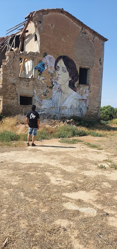 Graffiti Lyli Brik Sobre Tapia