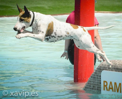 Aquapark Canino Perros al agua