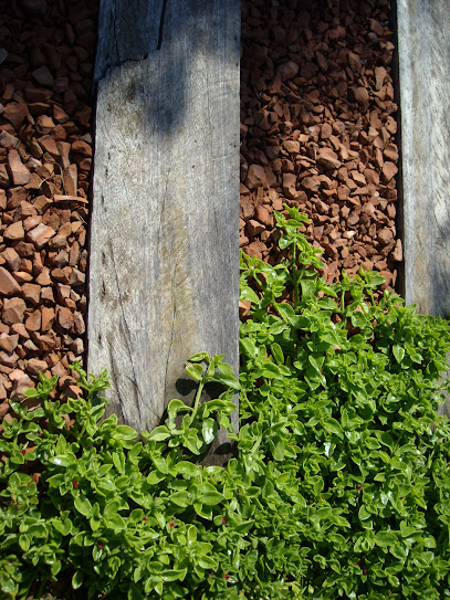 Arantxa Mogilnicki, Arquitectura i Paisatge