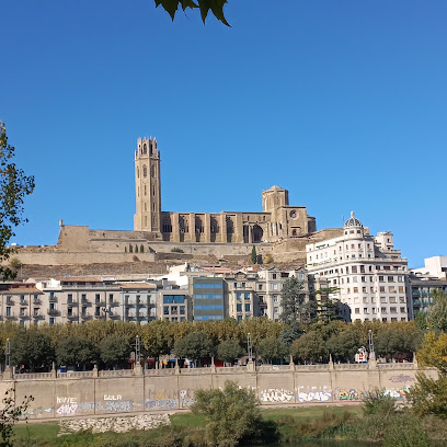Camps Elisis (Lleida)