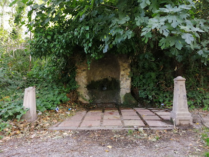 Zona Pícnic Partida de Grenyana
