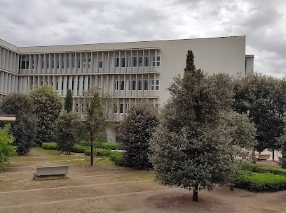 Facultad de Educación, Psicología y Trabajo Social (FEPTS) - Universidad de Lérida