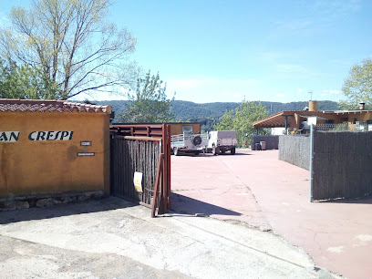 DOLÇA ABELLA SC. Collita pròpia de Mel, Pol·len, Pròpolis...