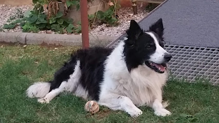 Montsec, Natura i Aventura