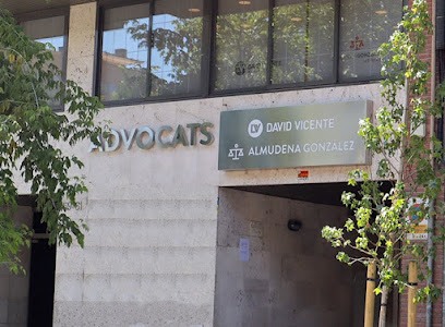 David Vicente Advocats