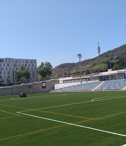 Camp de l'Àliga