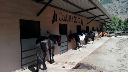 Cavalls Xic