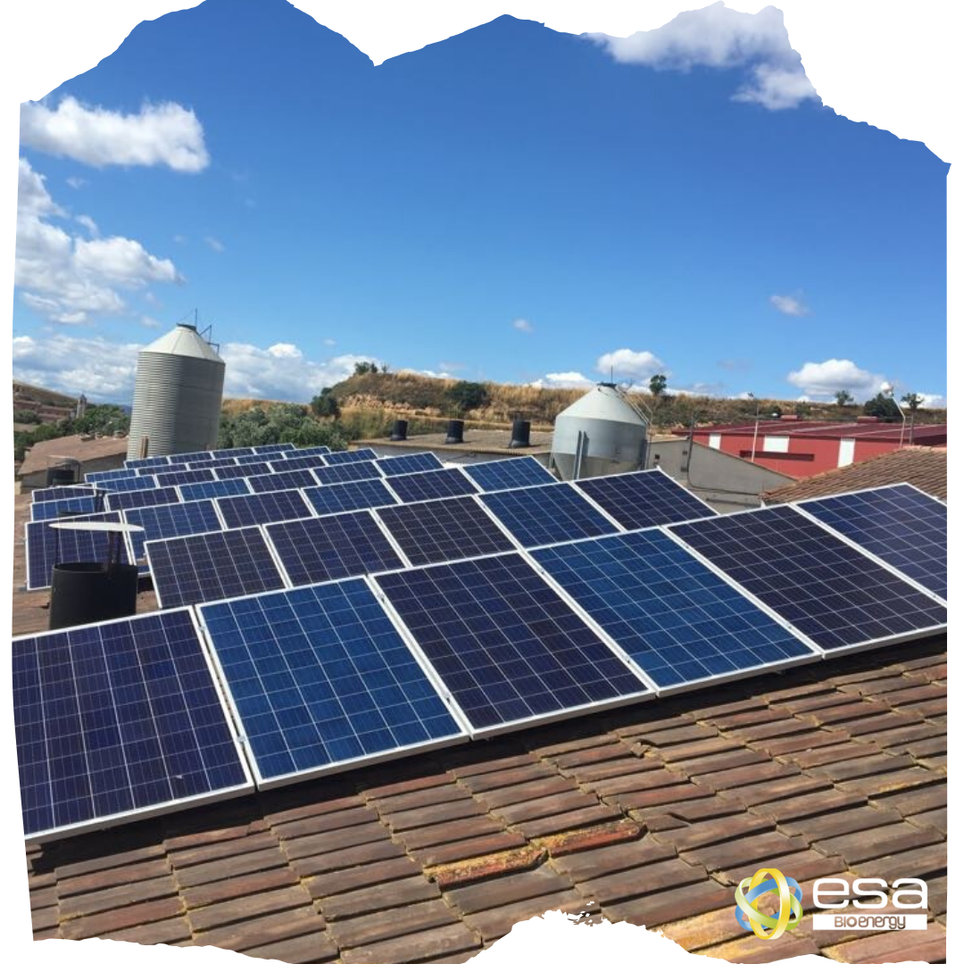 Esa Bioenergy
