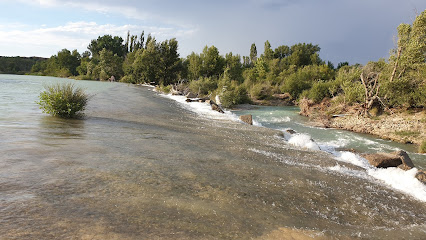 Azud de Gurrea de Gállego