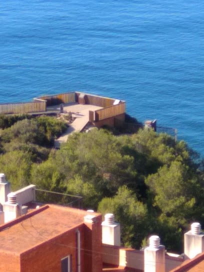 R Molero