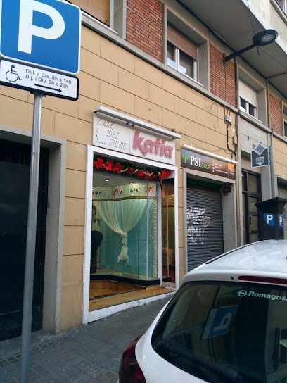L' ART DEL PUNT