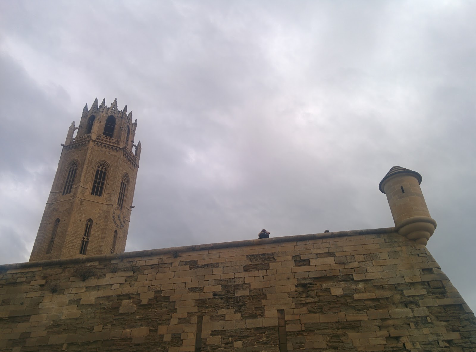 Jardins Alsina Roig S.L.