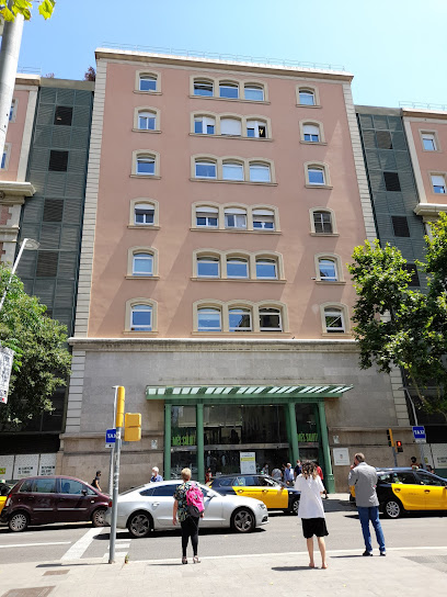 Banc de Sang i Teixits a l'Hospital Clínic