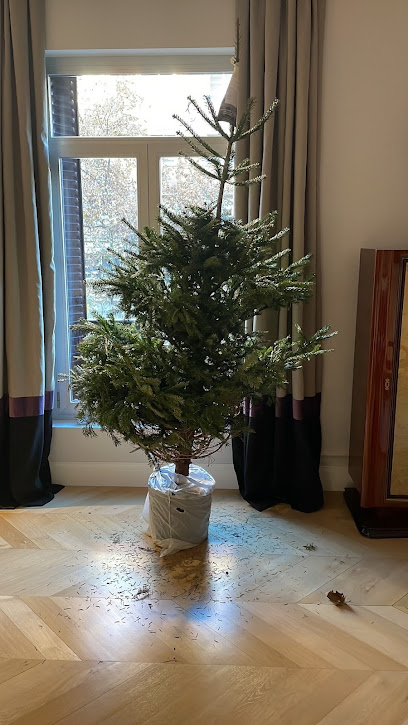 Mi Árbol de Navidad