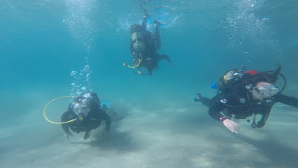 aventuratoursalou