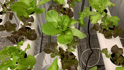 Hidroponia España Tienda Oficial