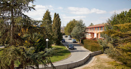 Institució Lleida - Arabell