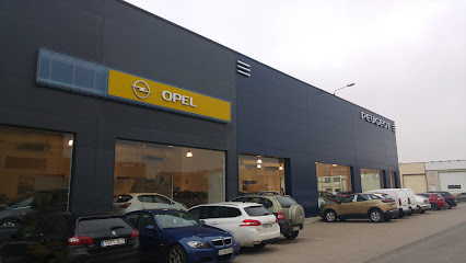 Celestí Farré, Hyundai