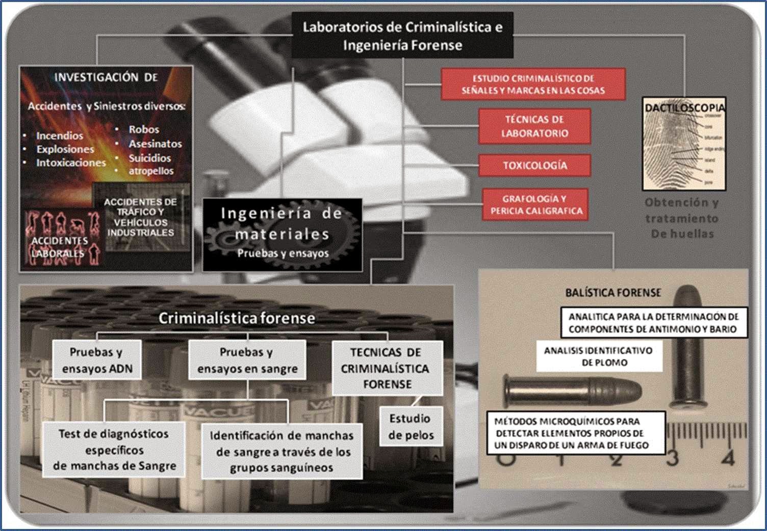 Acripes, Asociación de Criminalistas Forenses, Peritos Judiciales e Investigador