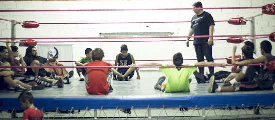 Federacion Argentina De Lucha