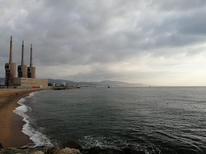 Playa del Litoral