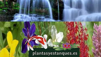 plantasyestanques