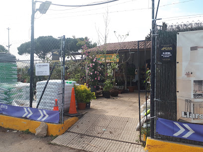 EL NOU GARDEN