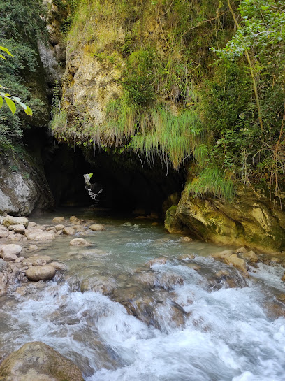 Pont Cabradís