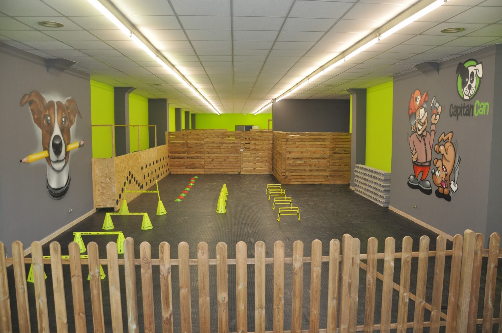 K9 Dog Academy