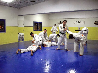 Budo Shin Escola d'Arts Marcials Tradicionals Tarragona