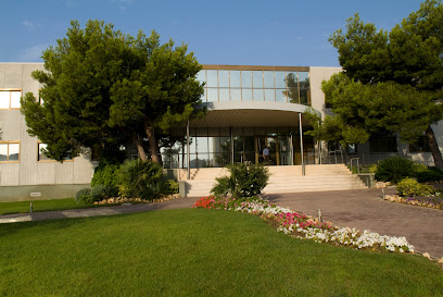 Associació Nuclear Ascó-Vandellòs II, A.I.E.
