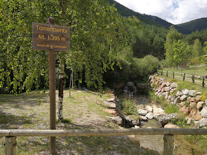 Torrentsenta