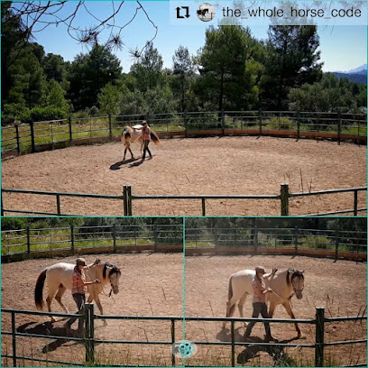 ReWild at Windchaser Ranch