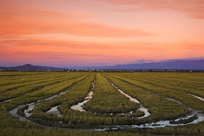 Parque Natural del Delta del Ebro
