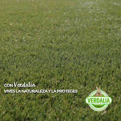 Gespa Artificial Lleida Verdalia