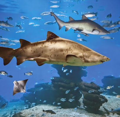 Palma Aquarium