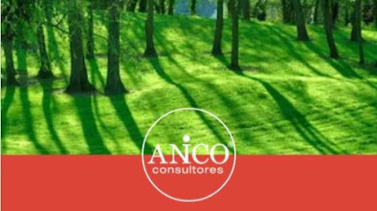Anico Consultores