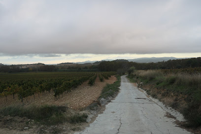 Camí de la Senabra