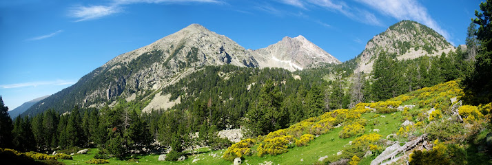 Vallter