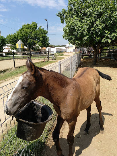 Club ecuestre La Vall del Tenes